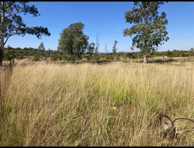411M² VACANT LAND FOR SALE IN SWARTRUGGENS